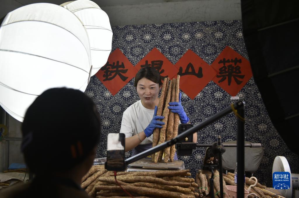 缅甸腾龙官网